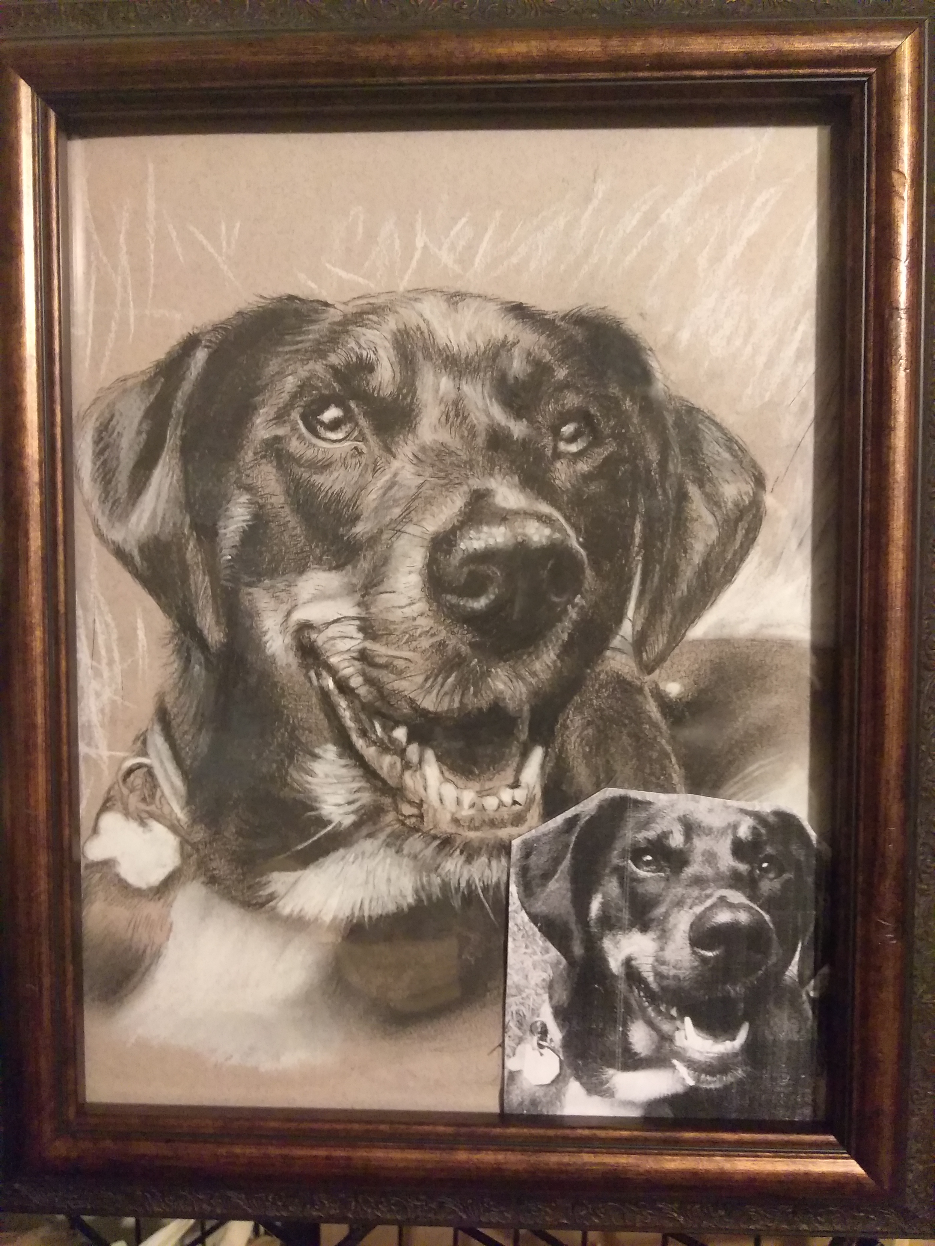 Pet Portrait from photo